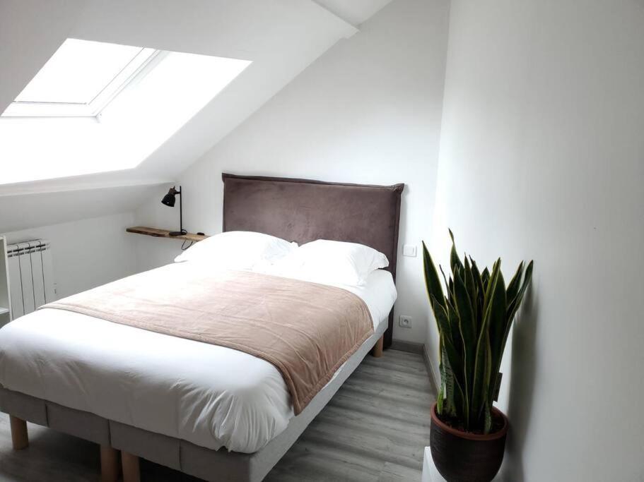 Dupplex, Centre Blois